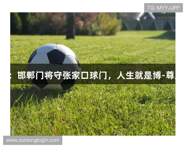 尊龙体育游戏的隐私保护政策，保障用户个人信息安全的详细措施